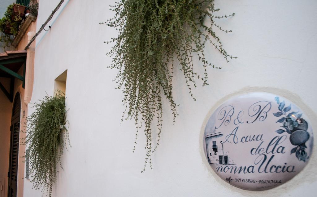 B&B A Casa Della Nonna Uccia Nardo Bagian luar foto